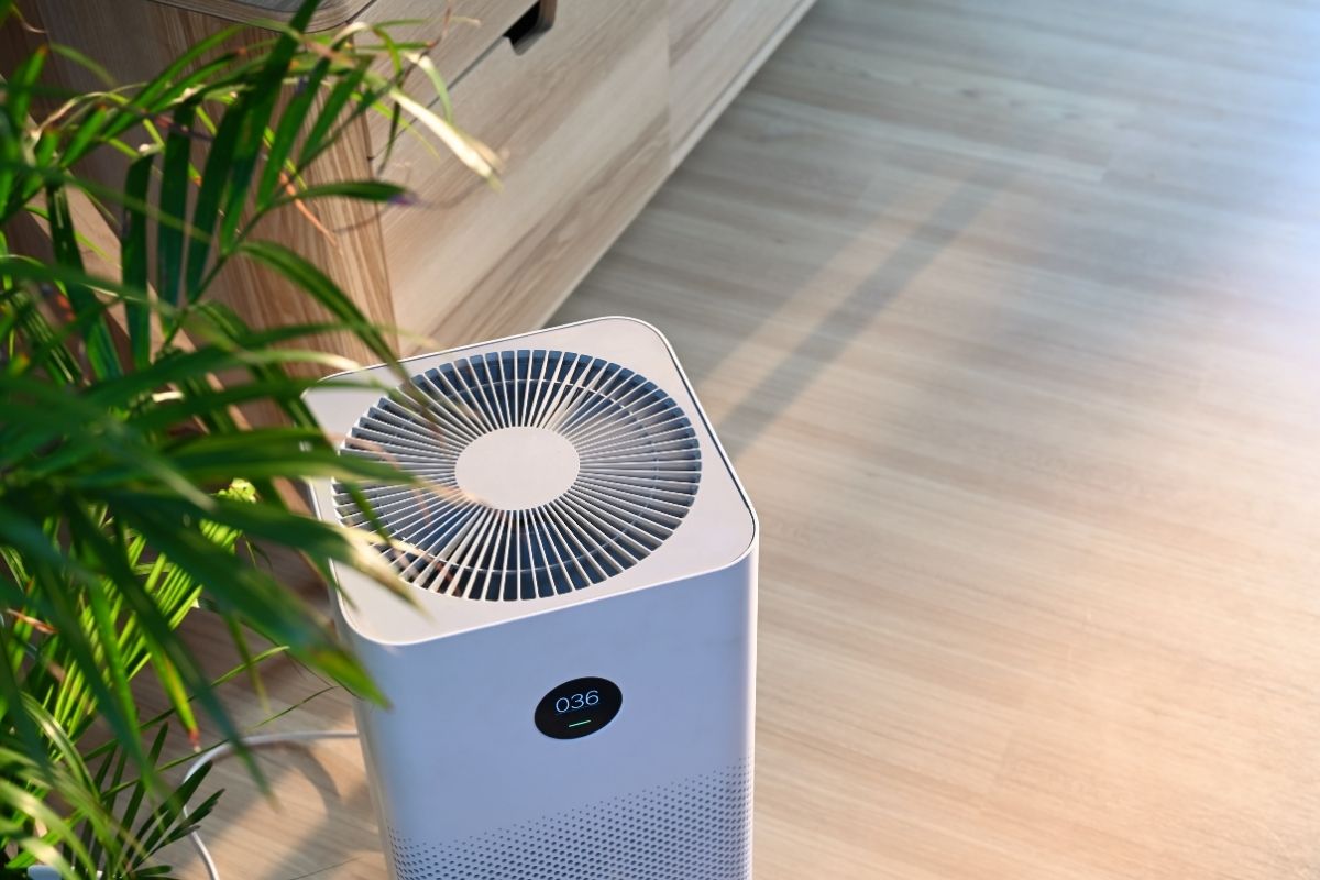 Sử Dụng Máy Hút Ẩm Hoặc Máy Lọc Không Khí Để Khử Mùi Ẩm Mốc